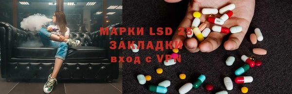 твердый Арсеньев