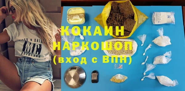 твердый Арсеньев