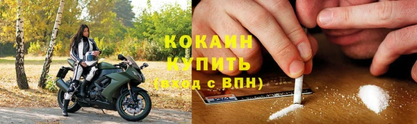 твердый Арсеньев
