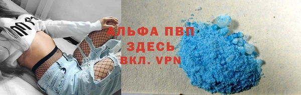 твердый Арсеньев